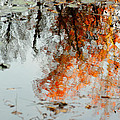 Natural Paint Daubs