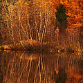 Restes d'Automne
